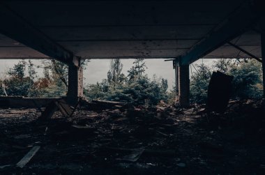 Ukrayna 'da harap olmuş bir okulda.