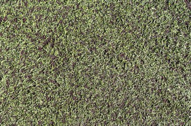 Yeşil çimen desenli soyut doğal arkaplan