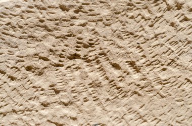 desen kum arkaplan deseni kapat