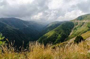 Yeşil ağaçlı yüksek dağlar ve insansız sonbahar manzarası