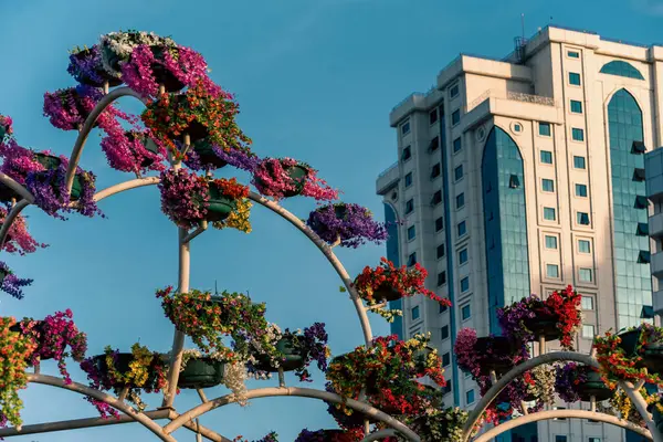 stock image fresh flowers in the city park and high skyscrapers in Grozny Chechnya Russia