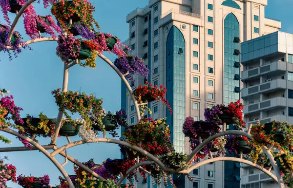 stock image fresh flowers in the city park and high skyscrapers in Grozny Chechnya Russia