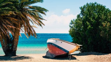 Eski yatı ve Kızıldeniz palmiyesi olan plaj, karantina sırasında insansız Mısır tatil beldesi