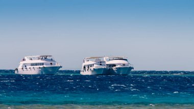 üç beyaz zevk tekne Red Sea'deki/daki
