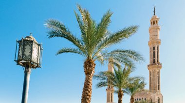 iki tarihi palms iki minare caminin El Mustafa Sharm El Sheikh, Mısır Güney Sina mavi gökyüzü arka plan üzerinde aydınlatma Fener Caddesi.