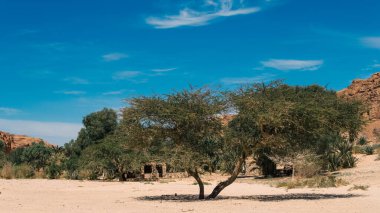 bir vaha Mısır Dahab dağların arasında çölde bedevi konut