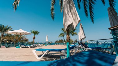 Hurghada 'da insanlar olmadan palmiye ağaçlarının altında boş plaj salonları