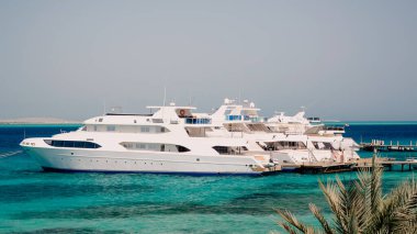 Mısır Kızıl Denizi 'nde insansız birkaç gemi var.