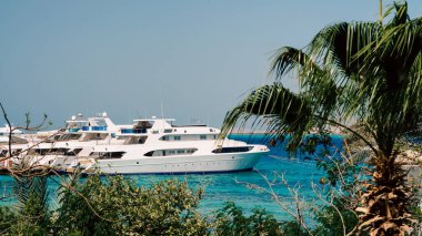 Mısır Kızıl Denizi 'nde insansız birkaç gemi var.