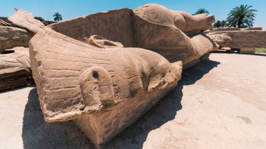 Mısır 'da, Lüksemburg' daki bir Karnak tapınağında Firavun 'un antik bir heykeli yerde yatıyor.