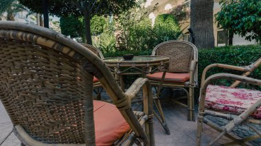 Çalıların arkasında yeşil yapraklar olan ağaç ve Mısır 'da Hurghada' da bir tatil evi.