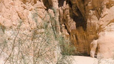 yüksek rocky Dağları ve Mısır Dahab kanyonda yeşil çalı