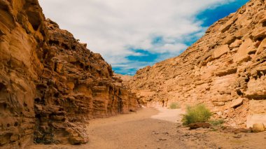 Mısır'daki çölde renkli Kanyon