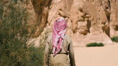 Kanyon kayaların arasındaki çölde bedevi beyaz gider