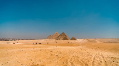 Çöldeki antik piramit lüks Mısır 'da