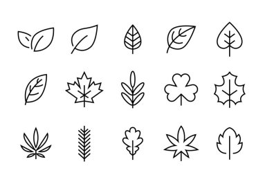 Yaprak doğa, filiz, bitki, yapraklar, organik bitki, büyüme koşulları, çiçek dalı simgeleri, vektör, işaret, logo, illüstrasyon, düzenlenebilir felç, düz tasarım biçimi beyaz çizgide izole edilmiş