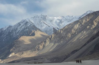 Ladakh, Hindistan 'daki Batı Himalayalar' ın yamaçlarında üç tane atlıyla birlikte Bactrian devesi görülebiliyor. Dağ zirveleri karla kaplı, alt yamaçlar çorak. Bir manastırın beyaz binaları sadece uzaktan görülebilir..