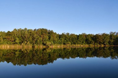 Çimen ve sık ağaçlardan oluşan bir nehir kıyısı bir nehrin durgun mavi suyuna yansıyor. Bulutsuz, mavi..