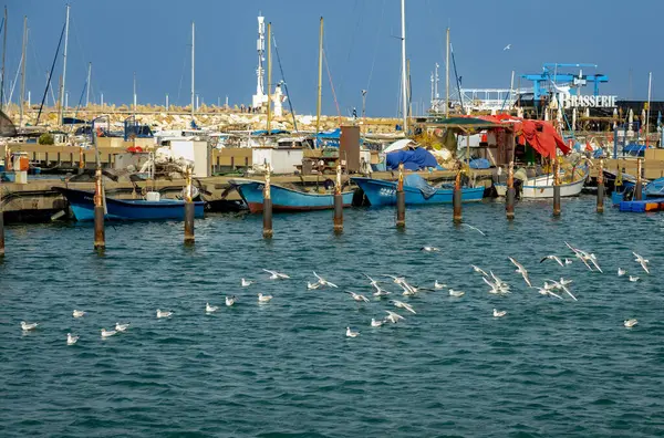 Costa Del Mar Mediterráneo Ciudad Marina Ashkelon Israel Oriente Medio — Foto de Stock
