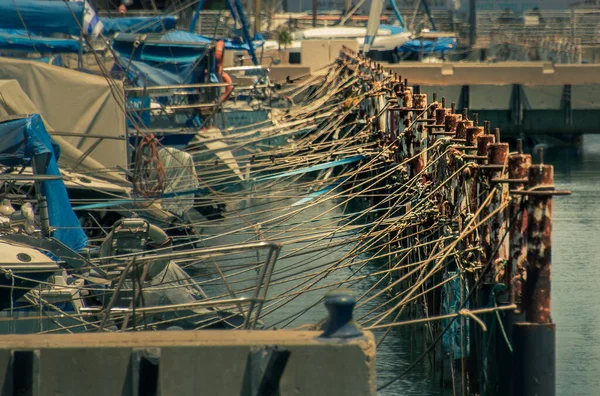 Halászok Városiak Kedvenc Helye Kikötőben Ashkelon Városában Izrael 2022 Október — Stock Fotó