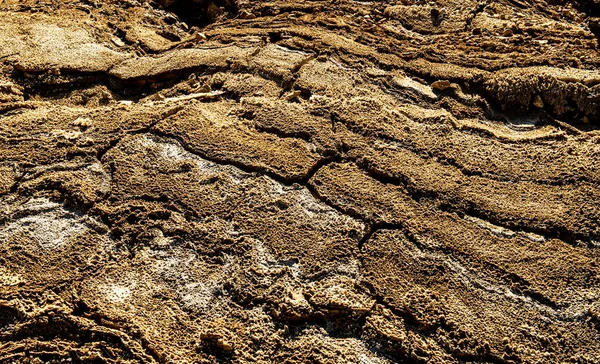 Природа Прибрежный Рельеф Мертвого Моря — стоковое фото