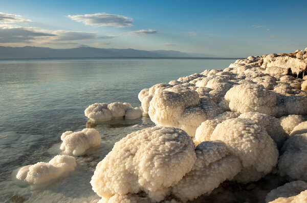 Salted Dead Sea mushrooms. Israel Middle East Sea coast, holidays in Israel