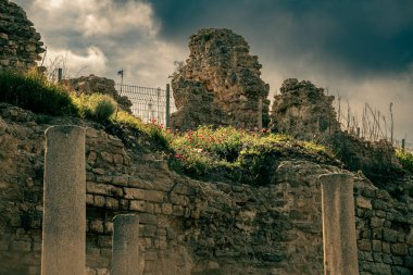 İsrail Ulusal Parkı, Ashkelon 'daki Leumi Parkı 02.28.2024