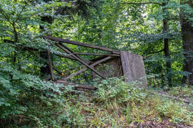 Ormanın ortasında avlanmak için yetiştirilmiş yok edilmiş bir sığınak.