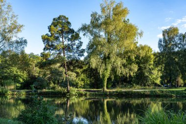 Temiz suyu ve sudaki yansımaları olan küçük bir göl.