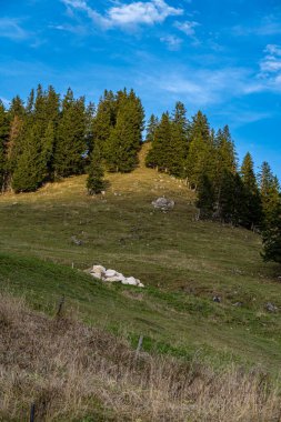 Büyük dağ zinciri, Alman Alpleri 'nin ormanı ve çayırları.