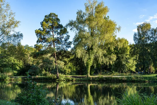 Temiz suyu ve sudaki yansımaları olan küçük bir göl.