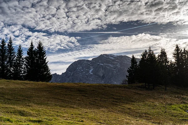 Massive Mountain Chain Forest Meadows German Alps — Stock Photo, Image