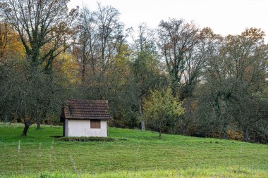Ormanın yakınındaki çayırda küçük bir kulübe.