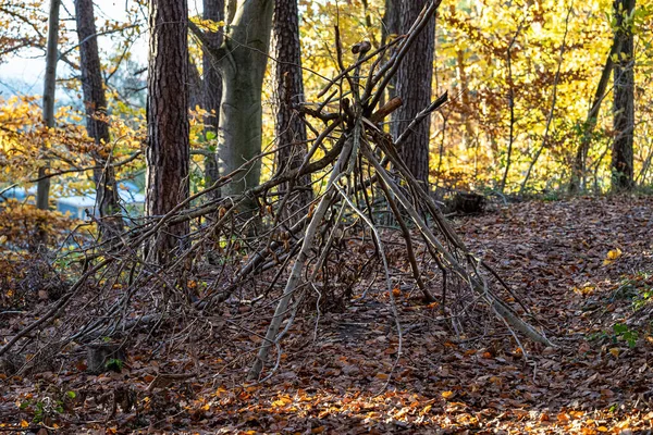 Ormanın Ortasında Bir Cadının Işareti — Stok fotoğraf