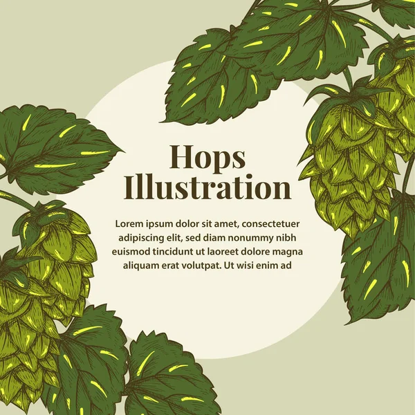 Bier Hopfen Skizze Illustration — Stockvektor