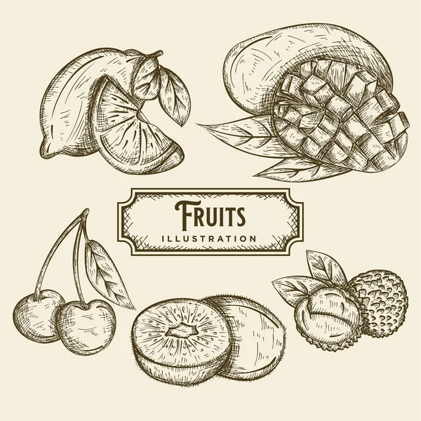 Desenho Frutas Desenhadas Mão — Vetor de Stock