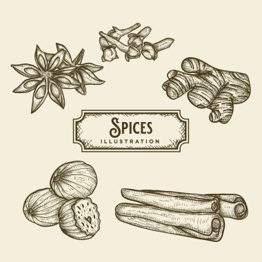 El Çizimi Baharatlar Çizimi