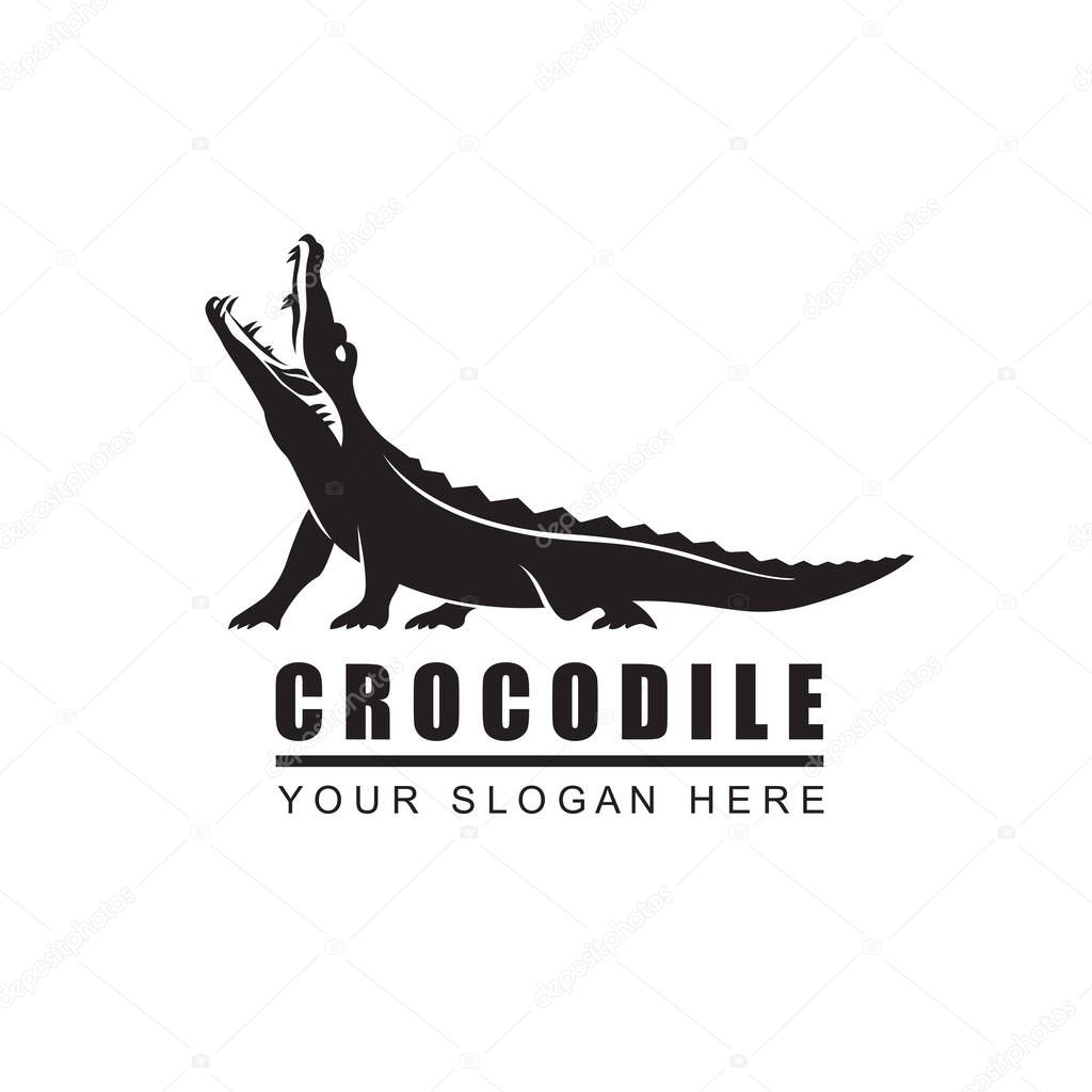 Crocodile icon isolated on white background