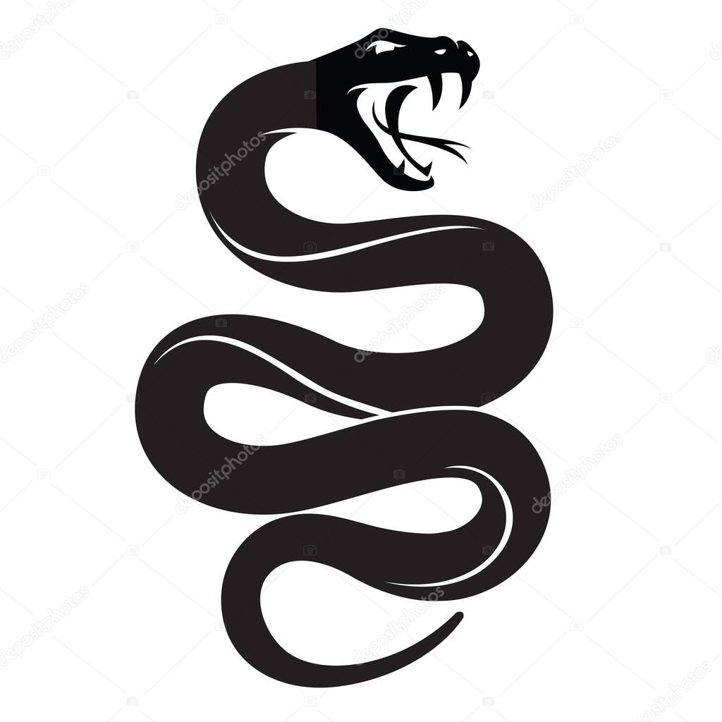 Illustration of black snake isolated on white background