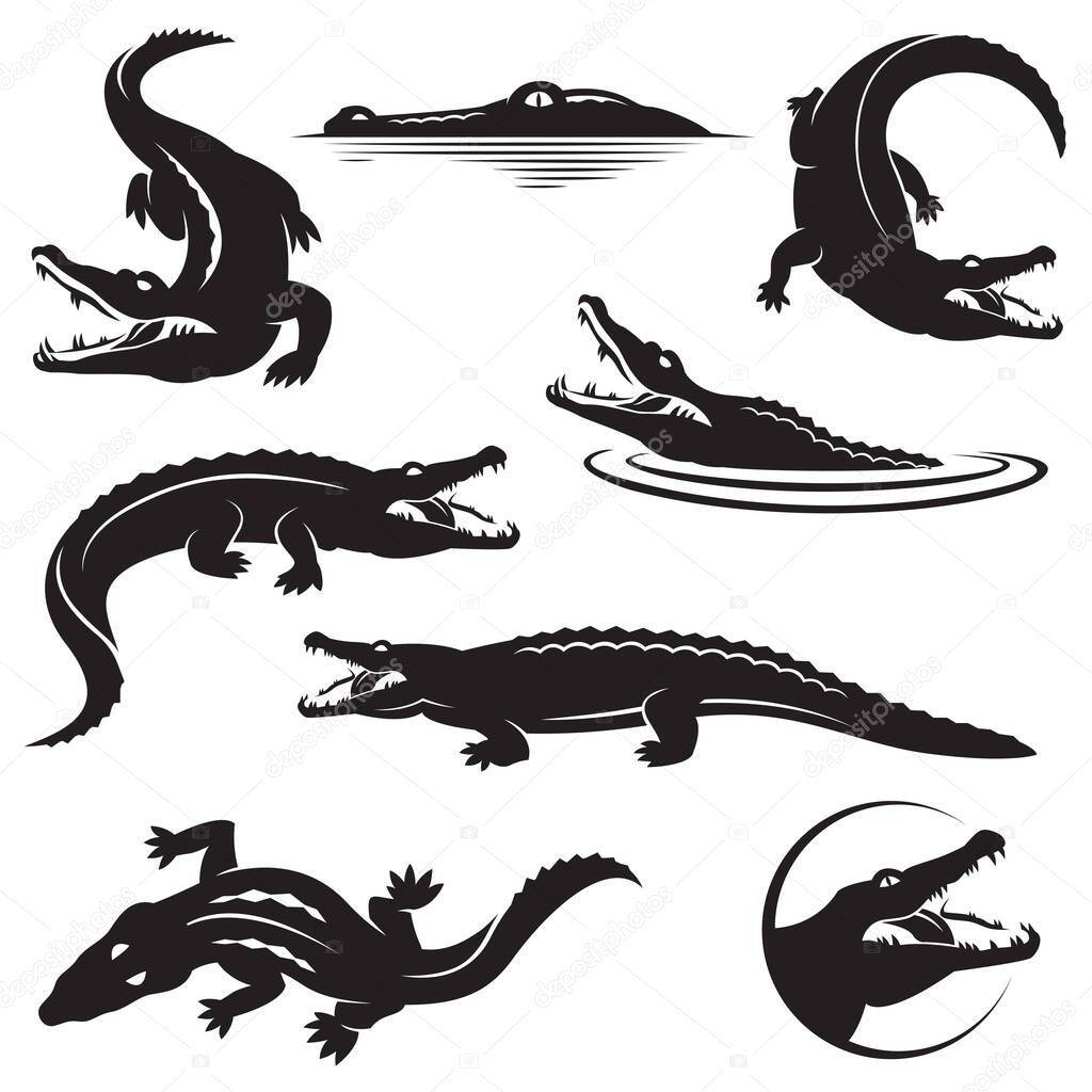 Collection of crocodile icons isolated on white background
