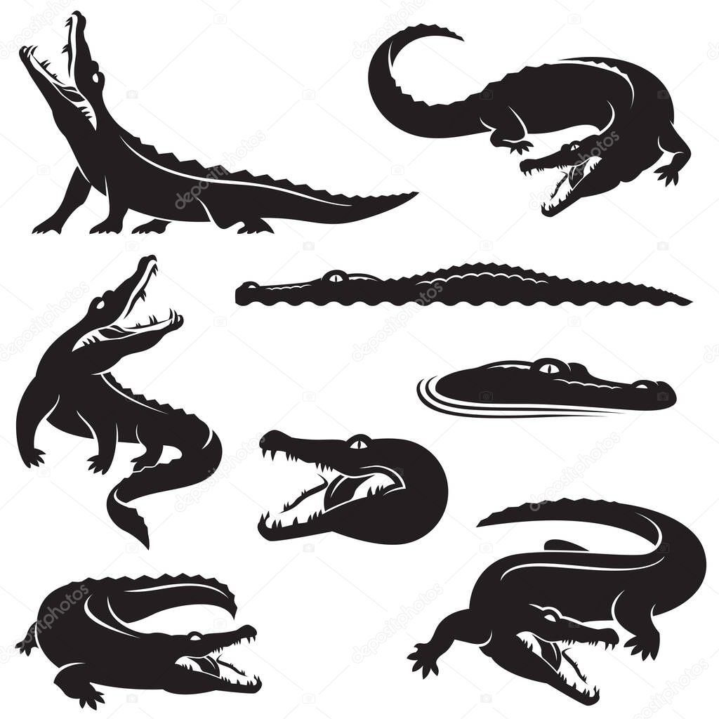 Collection of crocodile icons isolated on white background