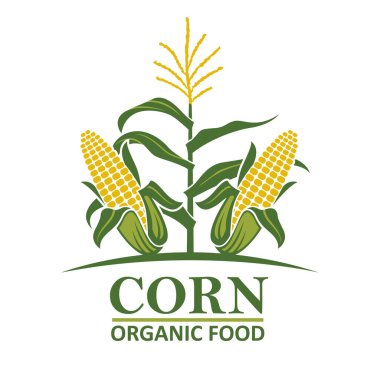 mısır sapı amblemi beyaz arkaplanda izole edildi