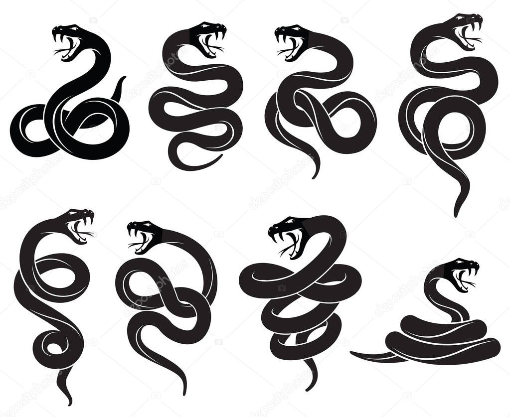 Collection of black snakes isolated on white background