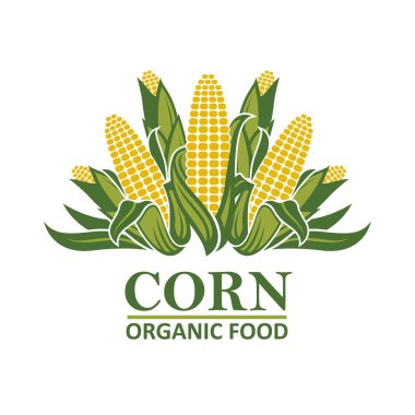 Mısır koçanı amblemi beyaz arkaplanda izole edildi