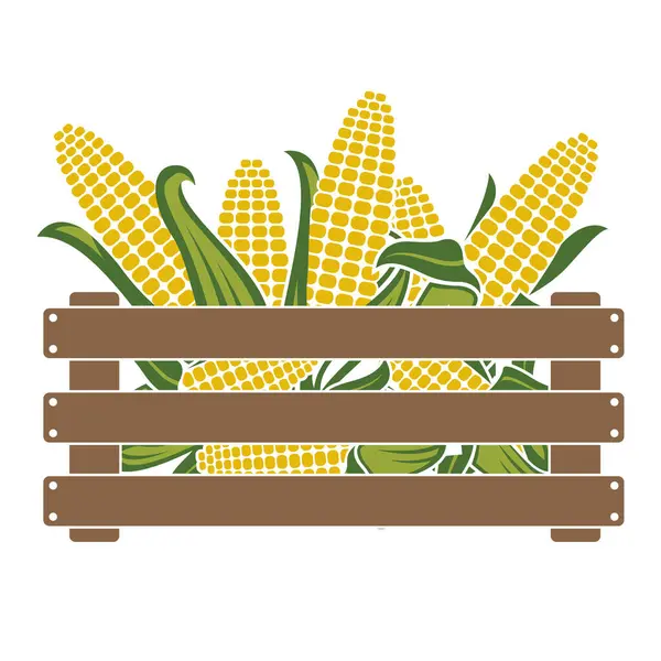 Ящик Кукурузными Початками Белом Фоне — стоковый вектор
