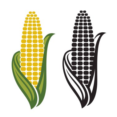 Beyaz arkaplanda mısır koçanı simgeleri izole