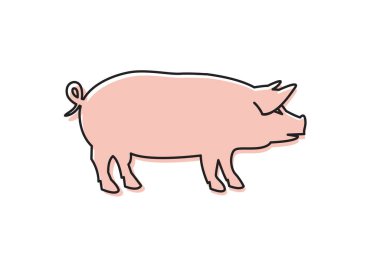 illüstrasyon izole beyaz arka plan üzerinde domuz