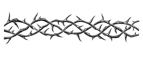 Black Crown Thorns Image Isolated White Background Stock Illustration