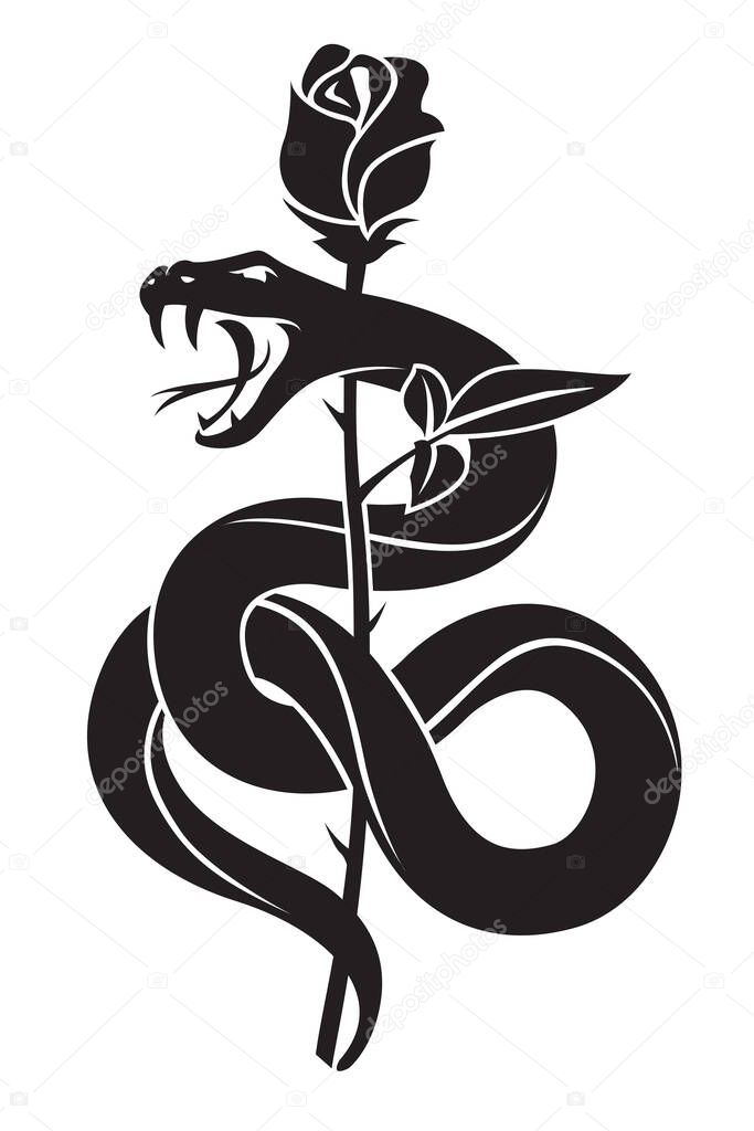 Black snake with rose isolated on white background