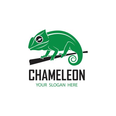 beyaz arkaplanda izole edilmiş bukalemun sürüngen simgesi